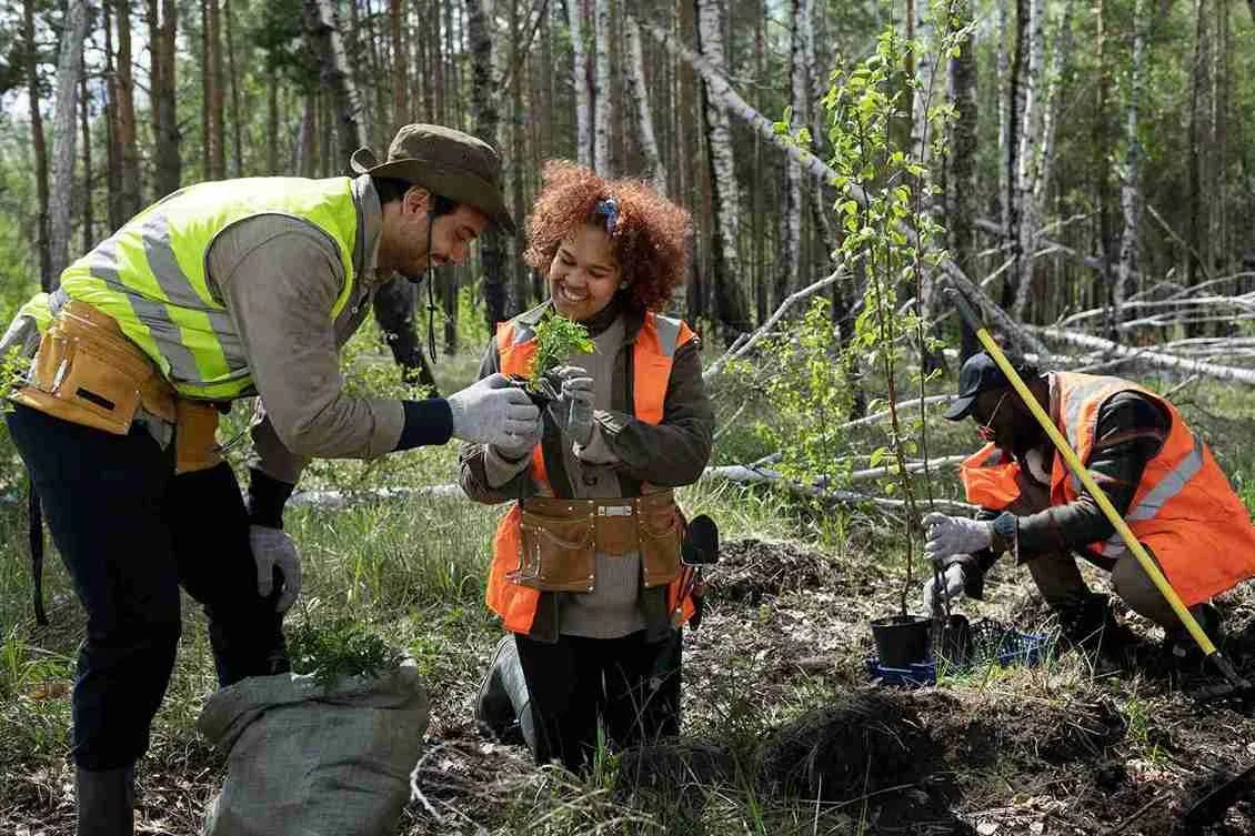 TRAINING SUSTAINABLE PALM OIL AUDIT DI RITEL